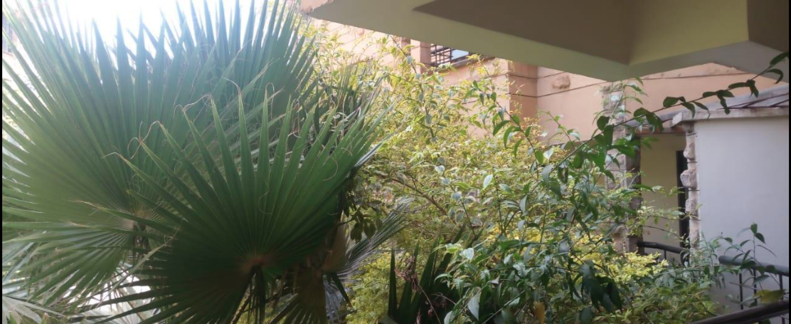 Lovely 3 Bedroom Apartment, Kilimani - giroy10