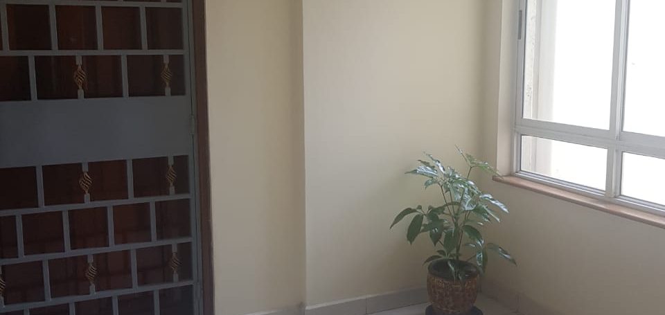 Executive 2 Bedroom Apartments Next to Yaya Centre13