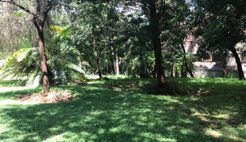 1.1 Acres For Redevelopment For Sale in Kileleshwa, Nairobi15