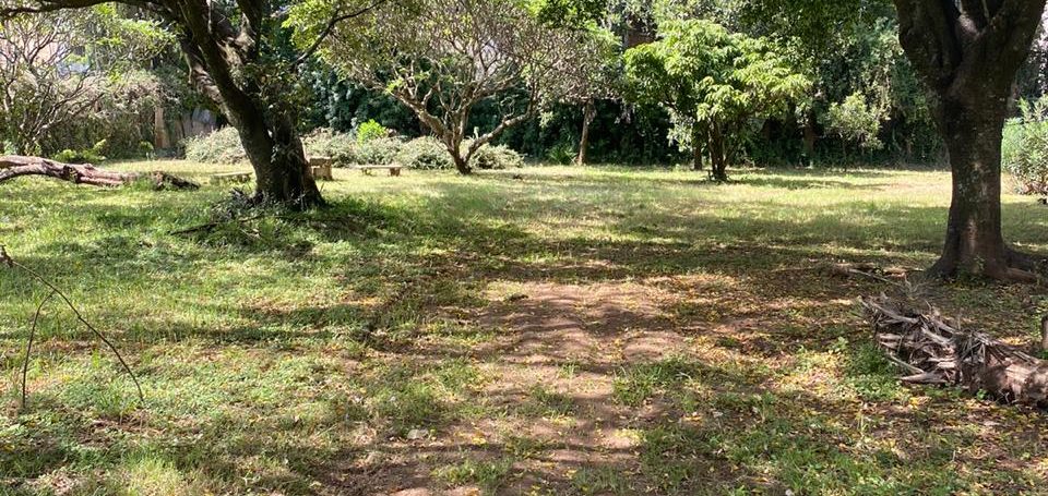 1.3 Acres of Prime Land for Sale in Kilimani off Argwings Kodhek Road, Going for Ksh650M - Negotiable7