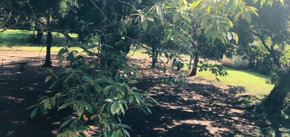 1.3 Acres of Prime Land for Sale in Kilimani off Argwings Kodhek Road, Going for Ksh650M - Negotiable8