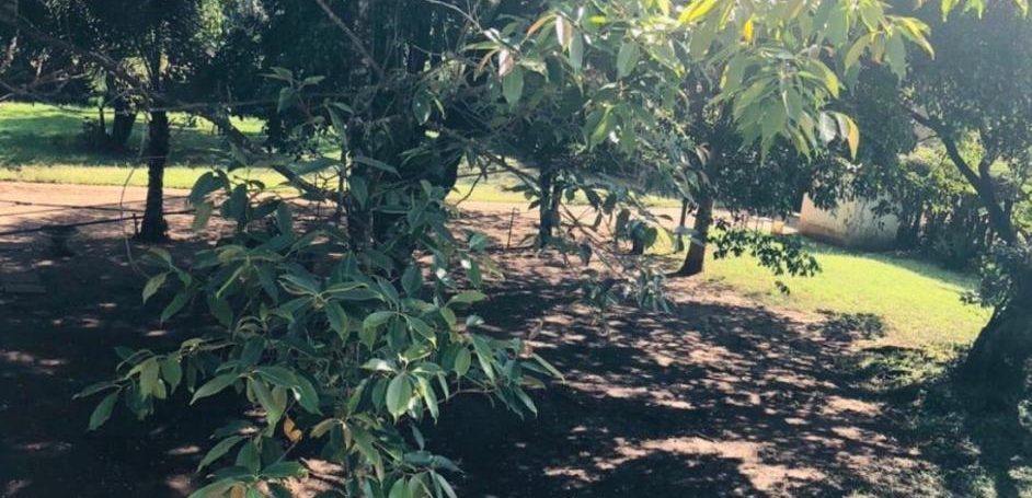 1.3 Acres of Prime Land for Sale in Kilimani off Argwings Kodhek Road, Going for Ksh650M - Negotiable9