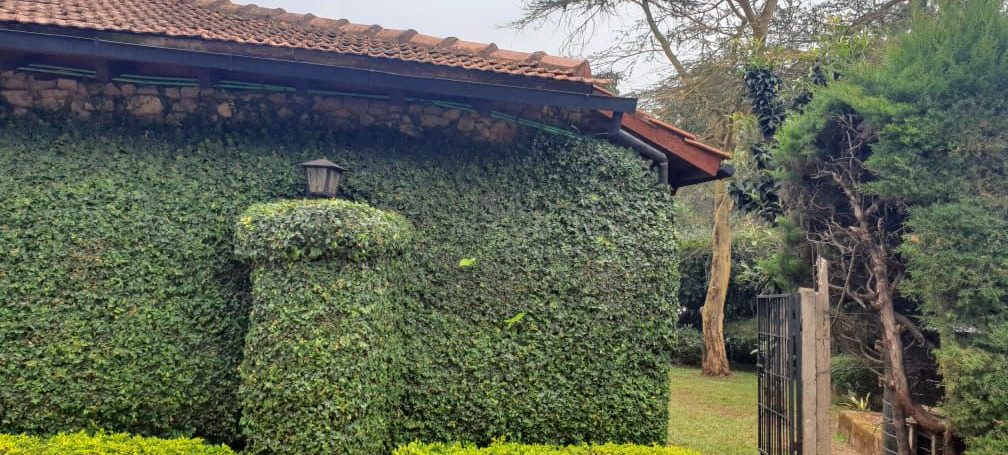 4 bedrooms House for Rent with Impressive Amenities located off Lower Kabete Road11