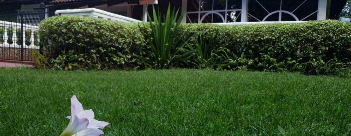 4 bedrooms House for Rent with Impressive Amenities located off Lower Kabete Road6