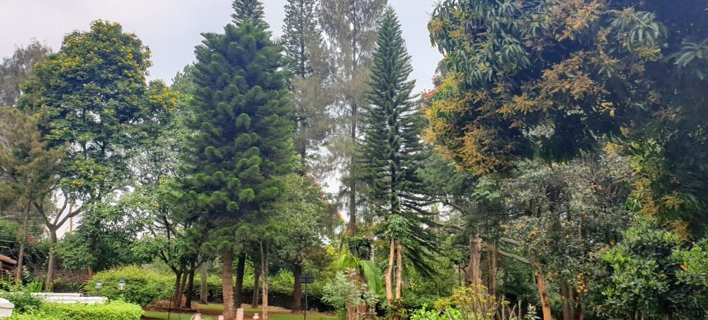 4 bedrooms House for Rent with Impressive Amenities located off Lower Kabete Road8