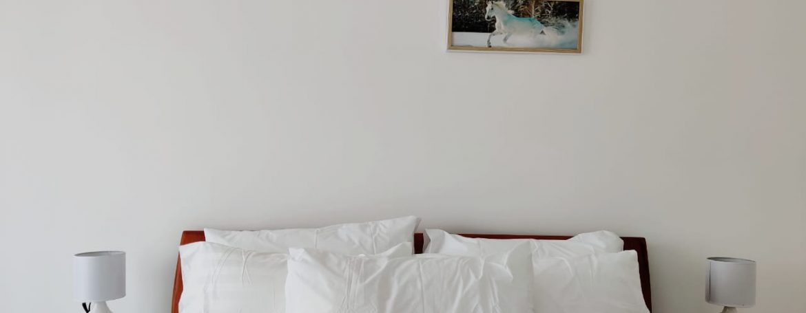 1 Bedroom Furnished Apartment for rent in Lavington, Mbaazi Avenue7